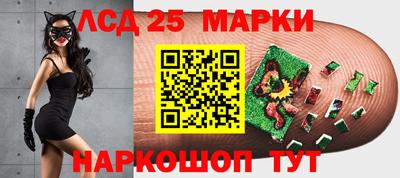 эйфоретик Кимры
