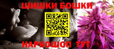 соль ск Кингисепп