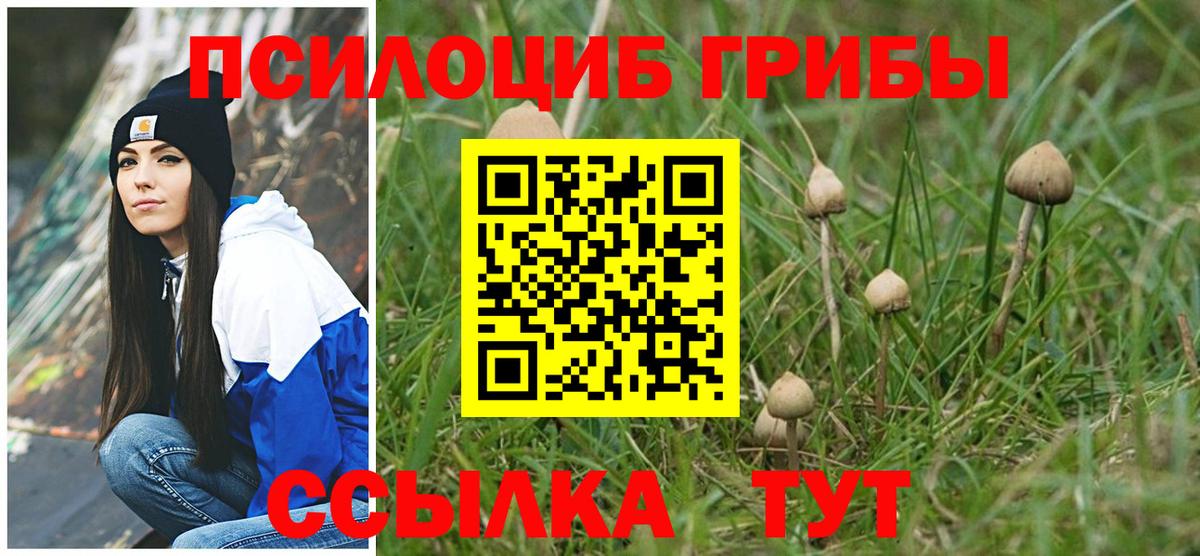 Галлюциногенные грибы Magic Shrooms Щёкино