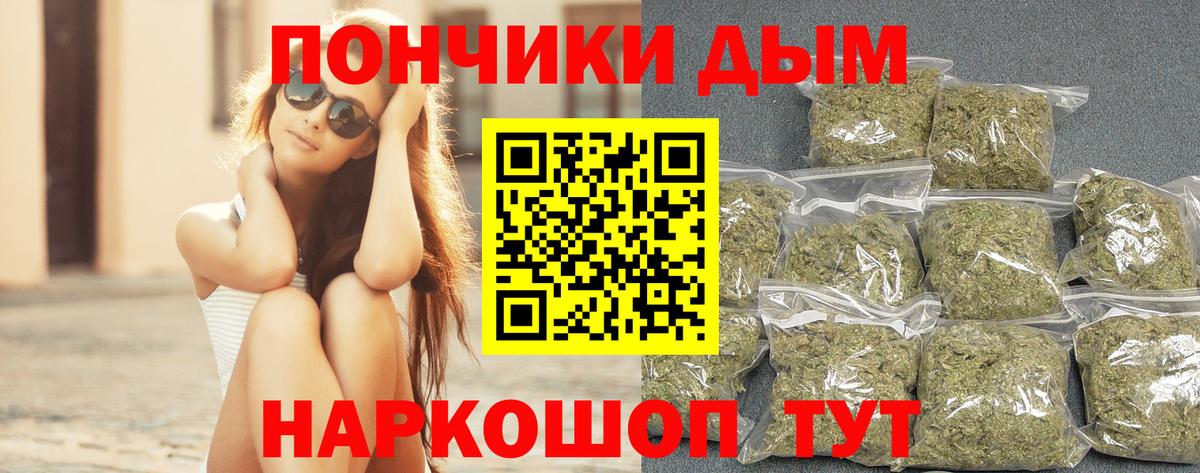 Конопля гибрид Щёкино